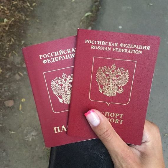 прописка в Зернограде